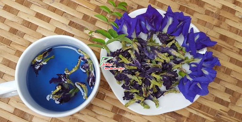 Hoa đậu biếc cho m&agrave;u xanh dương
